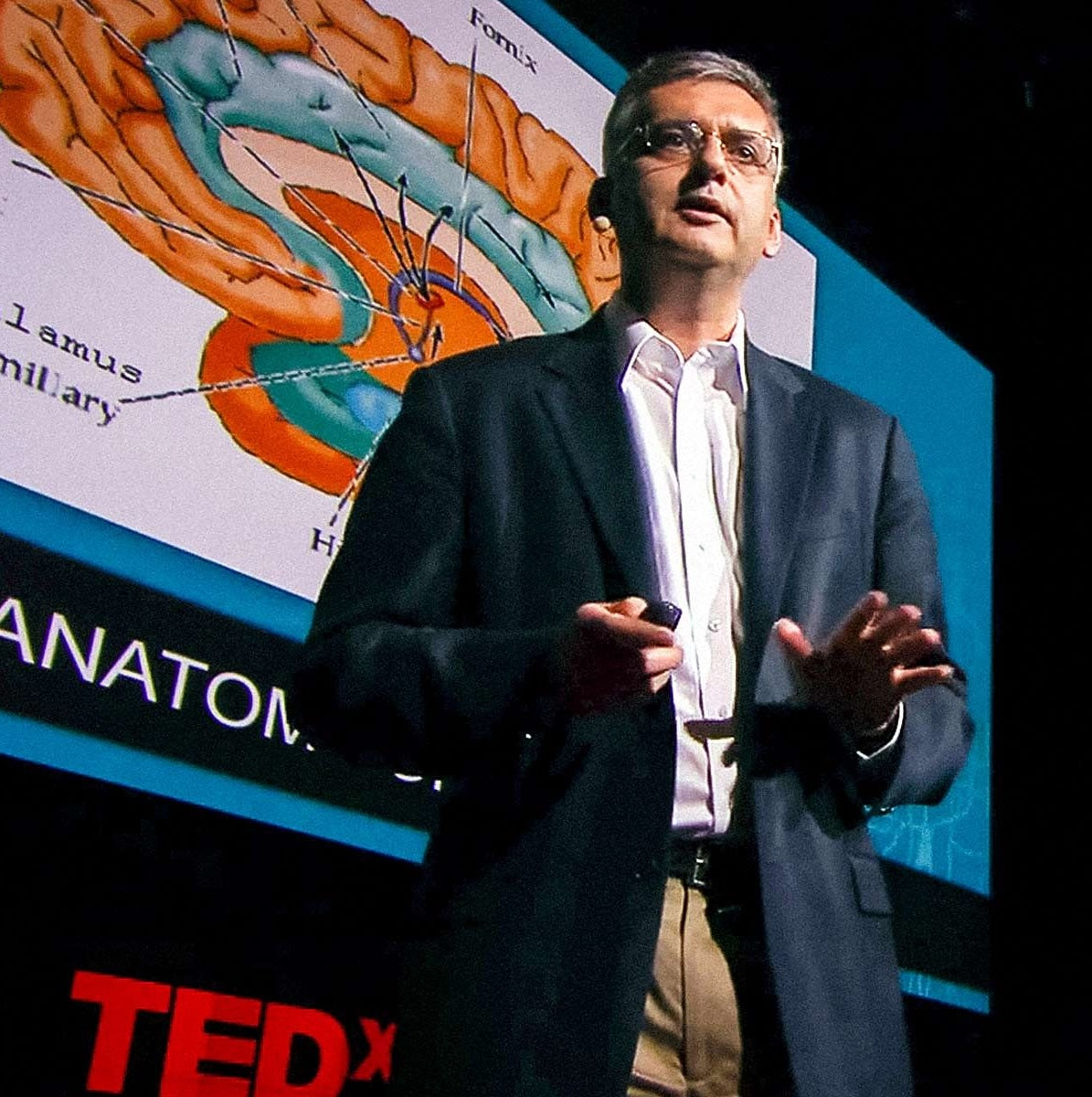Researcher presenting brain science