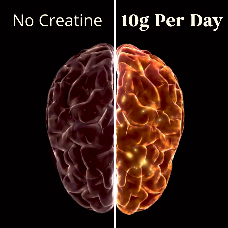 OAK Creatine | Natural Lemon
